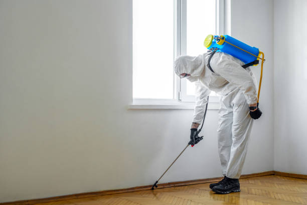 Best Best Pest Control Companies  in Linton Hall, VA