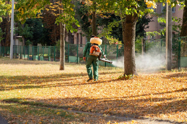 Best Ant Control Services  in Linton Hall, VA