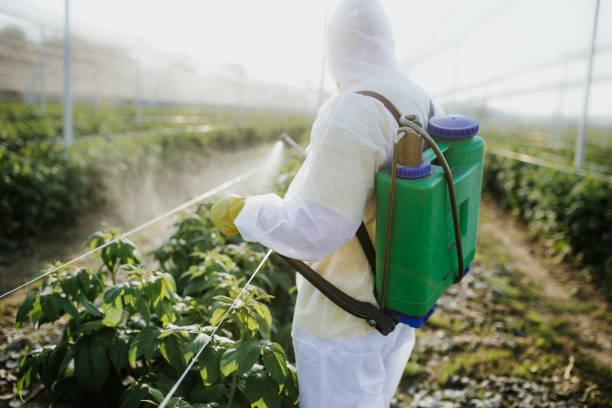 Best Local Pest Control Services  in Linton Hall, VA